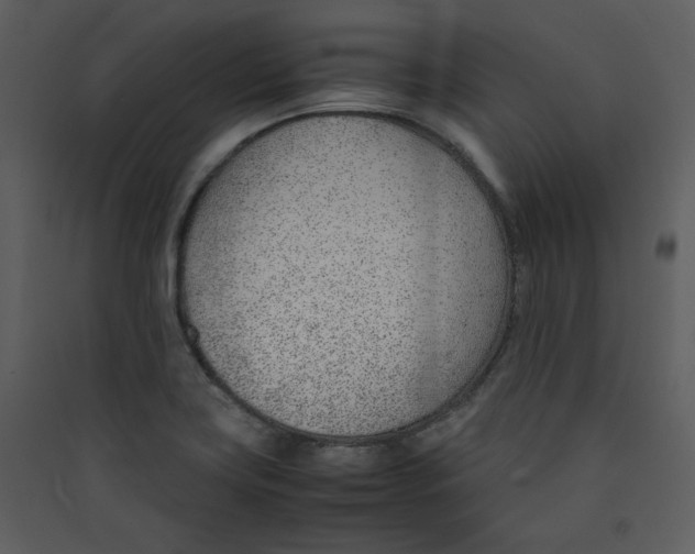 X0000089361419200707131605