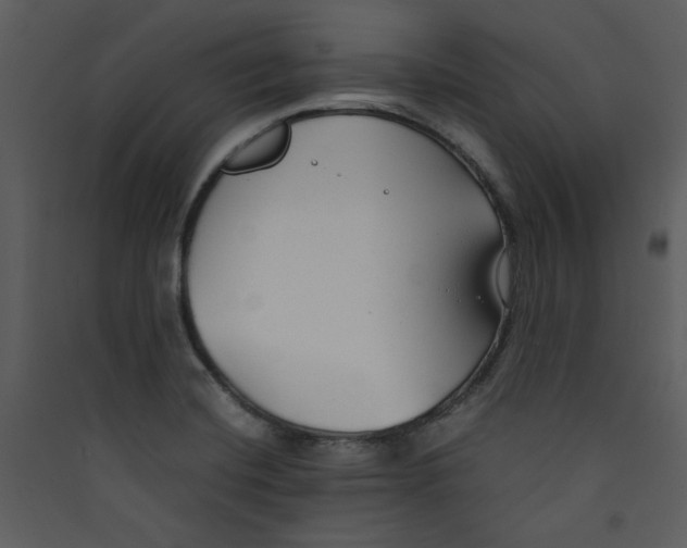 X0000089361420200707131606