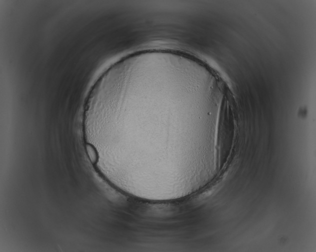 X0000089361421200707131606