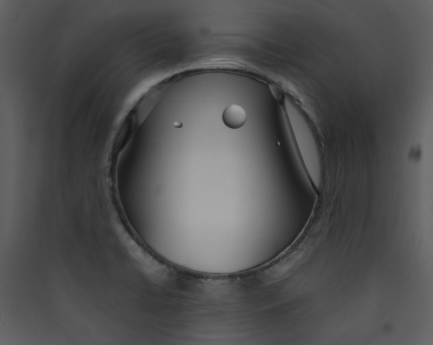 X0000089361422200707131606