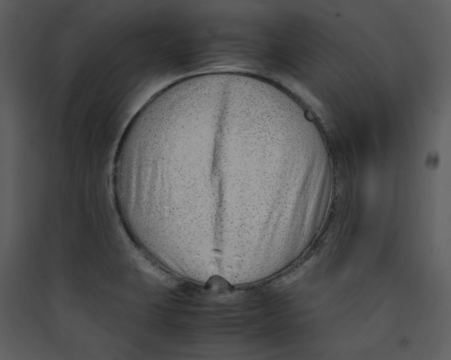 X0000089361423200707131606
