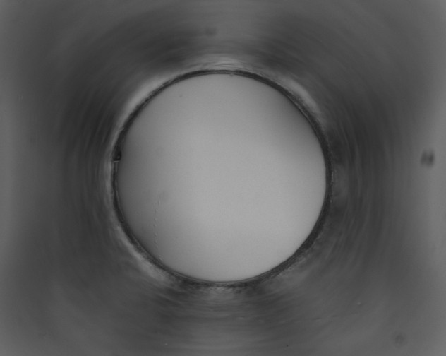X0000089361424200707131606