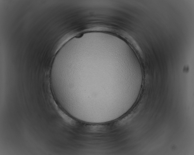 X0000089361425200707131606
