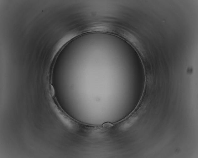 X0000089361426200707131606
