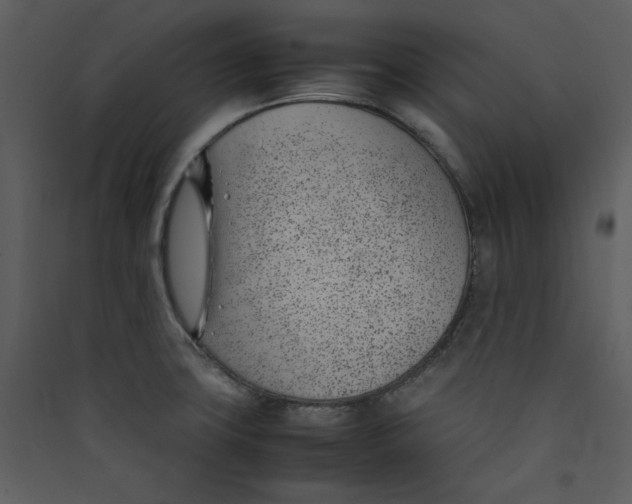 X0000089361427200707131606