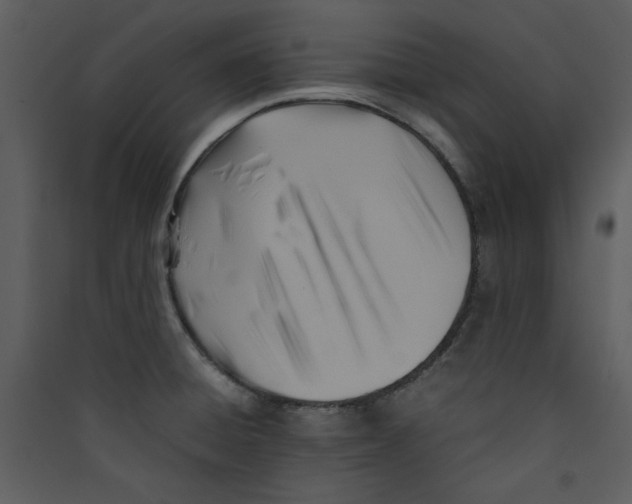 X0000089361428200707131606
