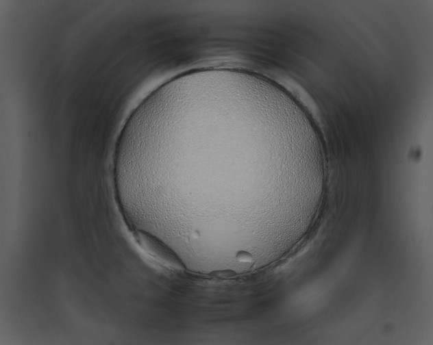 X0000089361429200707131606