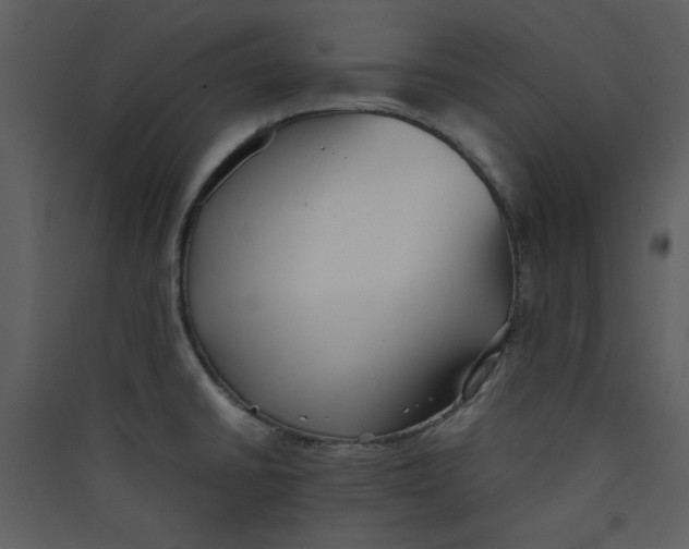 X0000089361430200707131606