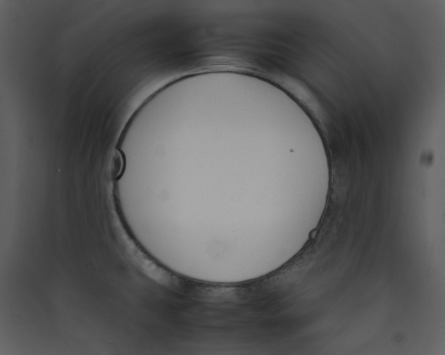 X0000089361431200707131606