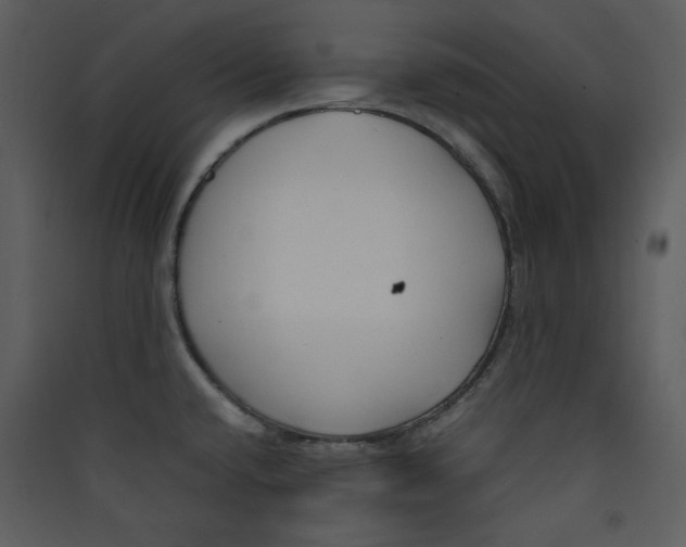 X0000089361432200707131606
