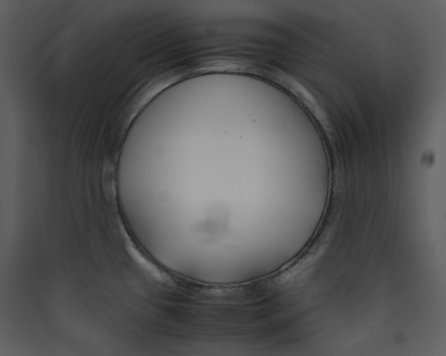 X0000089361433200707131606