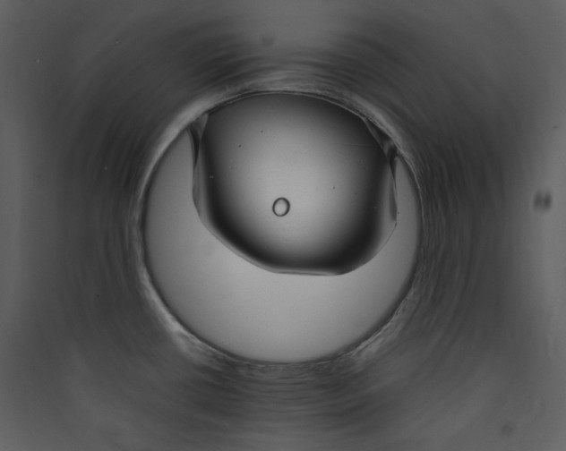 X0000089361434200707131606