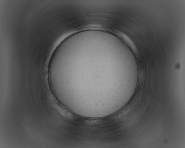 X0000089361435200707131606
