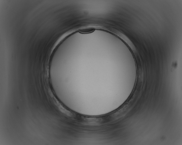 X0000089361436200707131606
