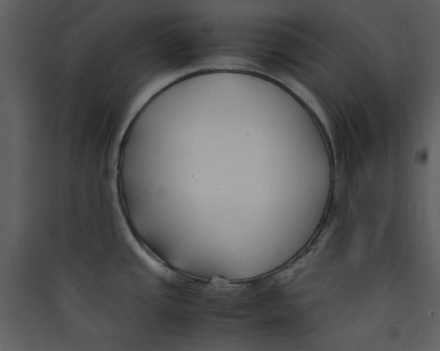X0000089361437200707131606
