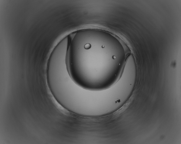 X0000089361438200707131606