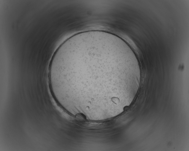 X0000089361439200707131606