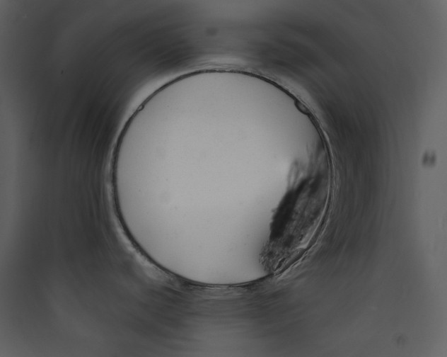 X0000089361440200707131606