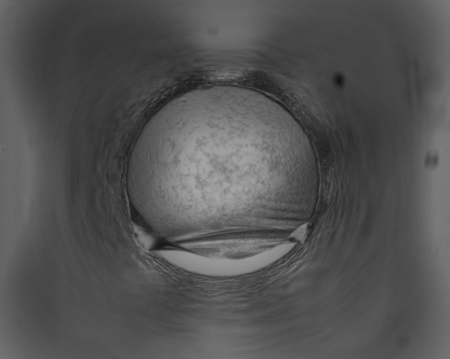 X0000089361441200707131605