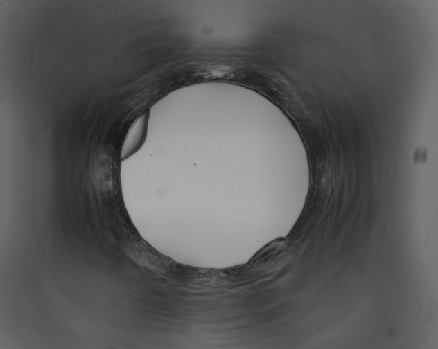 X0000089361442200707131605