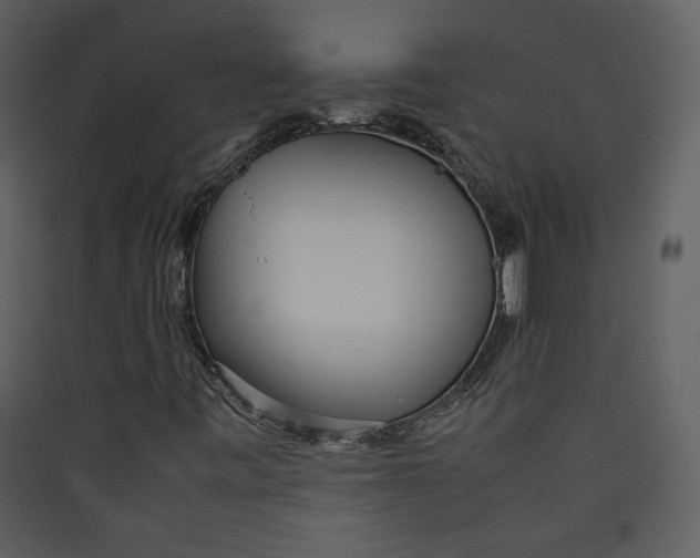 X0000089361443200707131605