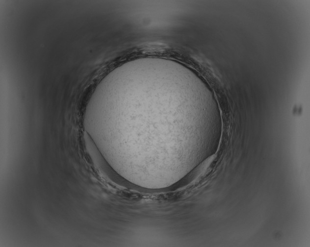 X0000089361445200707131605