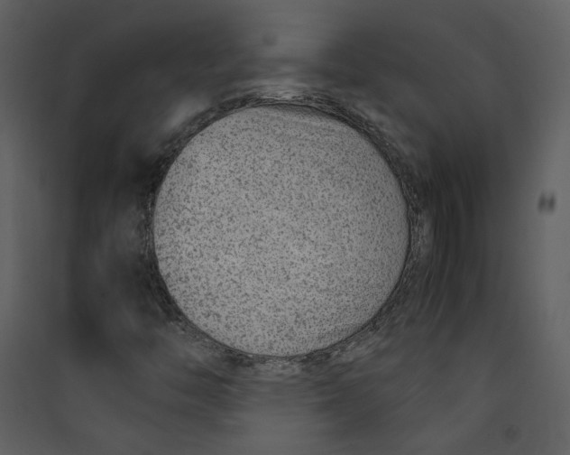 X0000089361446200707131605