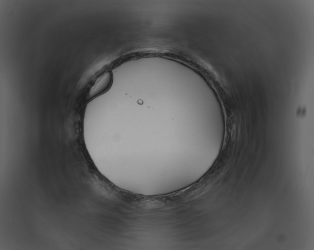 X0000089361448200707131605