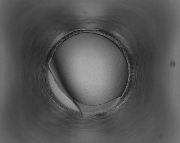 X0000089361449200707131605