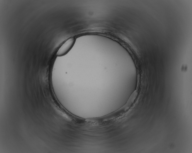 X0000089361450200707131605