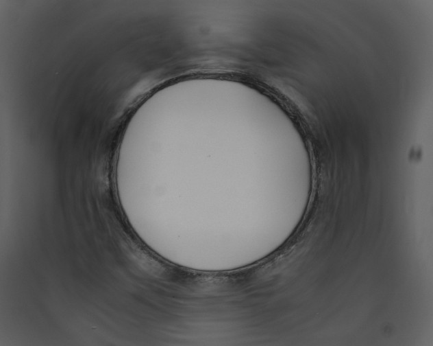 X0000089361451200707131605