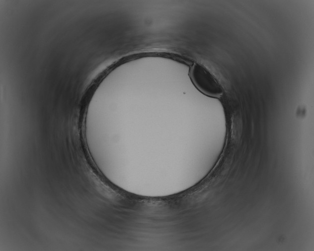 X0000089361452200707131605
