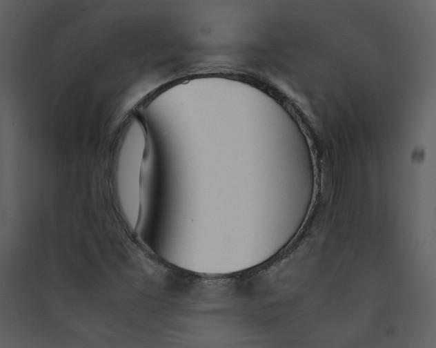 X0000089361453200707131605