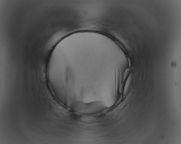 X0000089361455200707131605