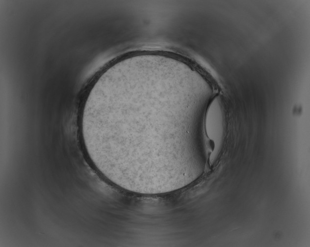 X0000089361456200707131605