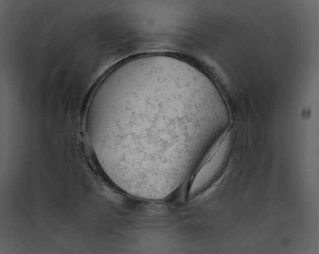 X0000089361457200707131605