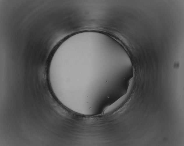 X0000089361458200707131605