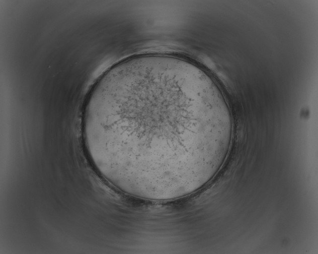 X0000089361459200707131605