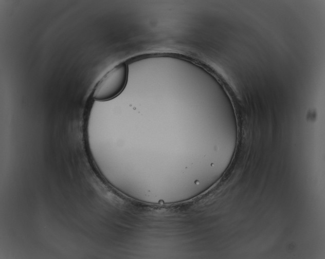 X0000089361460200707131605