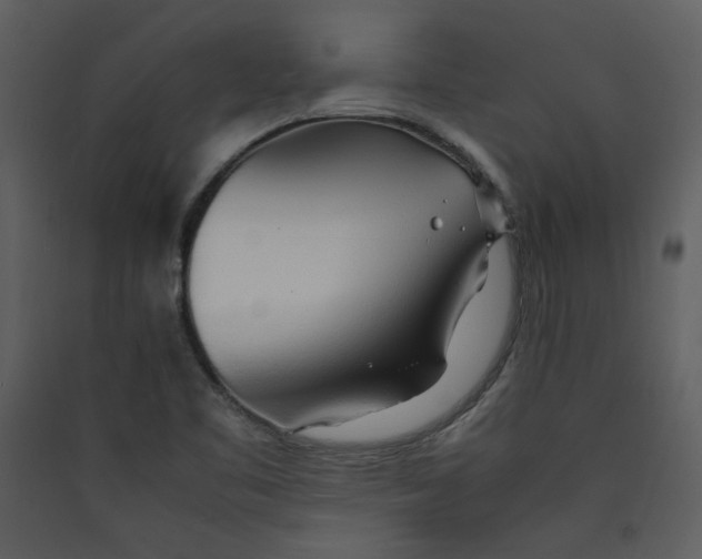 X0000089361461200707131605