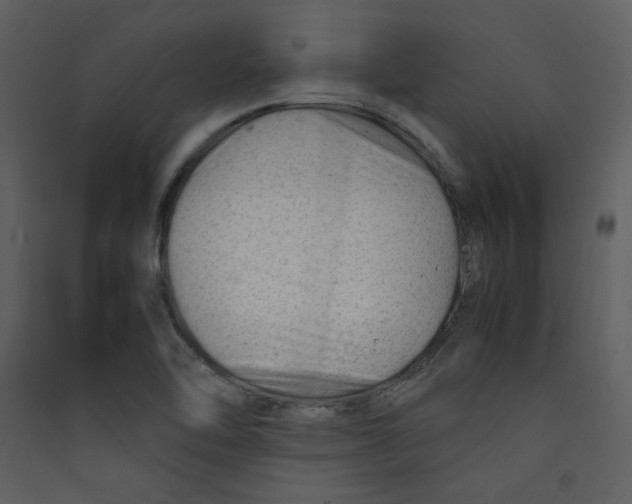 X0000089361462200707131605