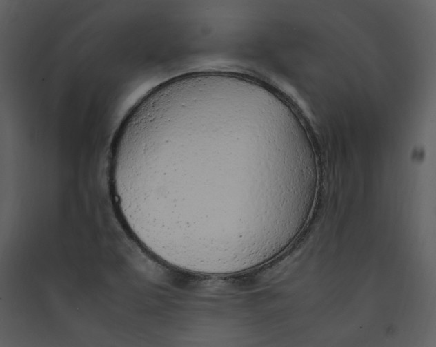 X0000089361463200707131605