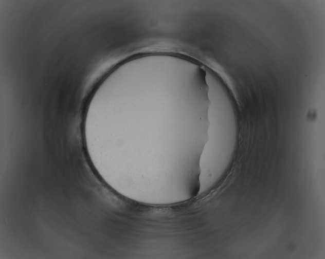 X0000089361464200707131605