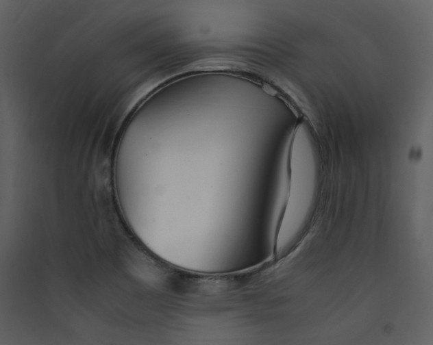 X0000089361465200707131605