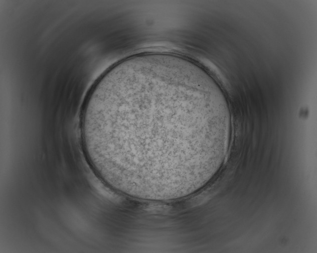 X0000089361466200707131605