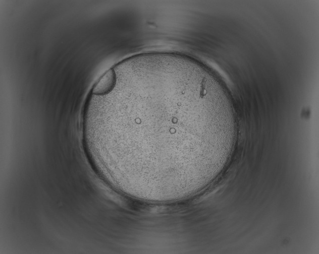 X0000089361467200707131605