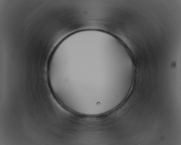 X0000089361468200707131605