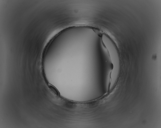 X0000089361469200707131605