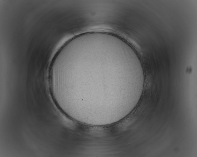 X0000089361470200707131605