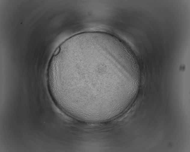 X0000089361471200707131605
